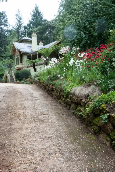 driveway showing green, red and white plants sloping over a rock wall